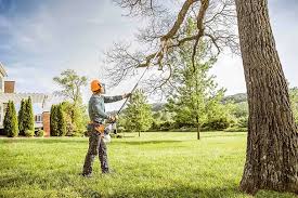 How Our Tree Care Process Works  in  Waterford, CA